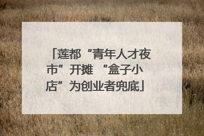 莲都“青年人才夜市”开摊 “盒子小店”为创业者兜底