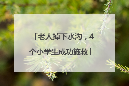 老人掉下水沟，4个小学生成功施救