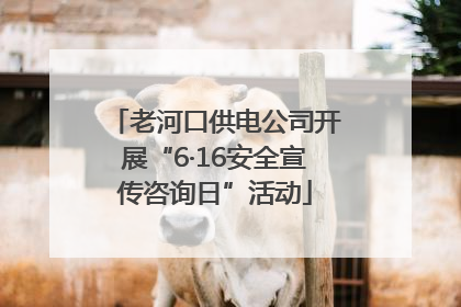 老河口供电公司开展“6·16安全宣传咨询日”活动