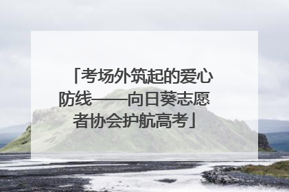 考场外筑起的爱心防线——向日葵志愿者协会护航高考
