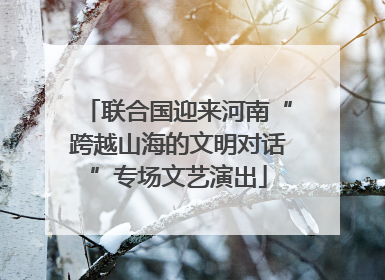 联合国迎来河南“跨越山海的文明对话”专场文艺演出
