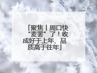 聚焦丨周口快“麦罢”了！收成好于上年、品质高于往年