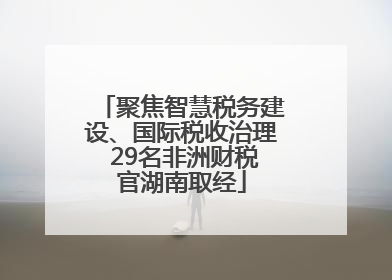 聚焦智慧税务建设、国际税收治理 29名非洲财税官湖南取经