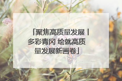 聚焦高质量发展丨多彩青冈 绘就高质量发展新画卷