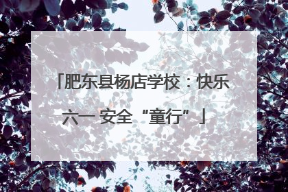 肥东县杨店学校：快乐六一 安全“童行”