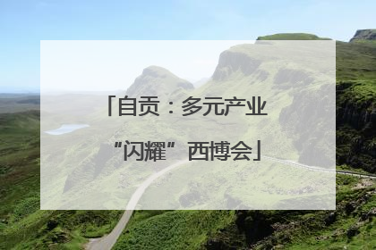自贡：多元产业“闪耀”西博会
