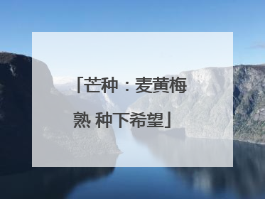 芒种：麦黄梅熟 种下希望