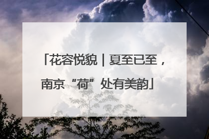 花容悦貌｜夏至已至，南京“荷”处有美韵