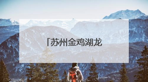 苏州金鸡湖龙舟赛热烈开场：小学生队伍首次参赛，上海龙获国际组冠亚军