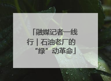 融媒记者一线行｜石油老厂的“绿”动革命
