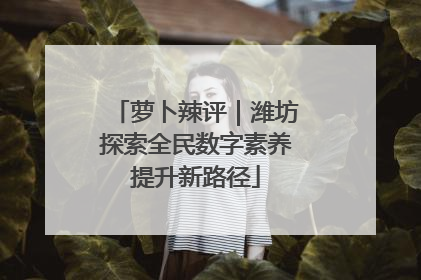 萝卜辣评｜潍坊探索全民数字素养提升新路径