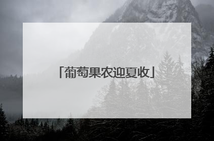 葡萄果农迎夏收