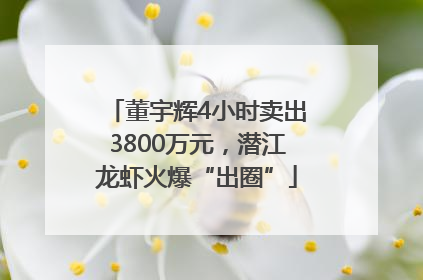 董宇辉4小时卖出3800万元，潜江龙虾火爆“出圈”