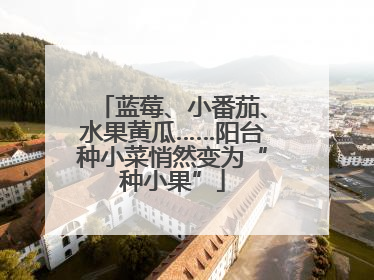 蓝莓、小番茄、水果黄瓜……阳台种小菜悄然变为“种小果”