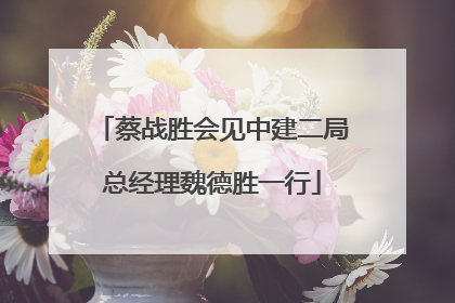 蔡战胜会见中建二局总经理魏德胜一行