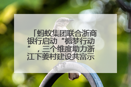 蚂蚁集团联合浙商银行启动“栀梦行动”，三个维度助力浙江下姜村建设共富示范区示范点