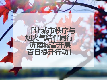 让城市秩序与烟火气结伴同行 济南城管开展百日提升行动