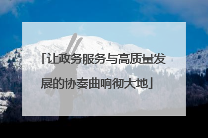 让政务服务与高质量发展的协奏曲响彻大地