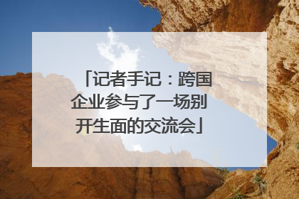 记者手记：跨国企业参与了一场别开生面的交流会