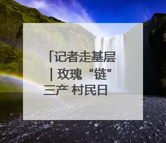 记者走基层｜玫瑰“链”三产 村民日子甜