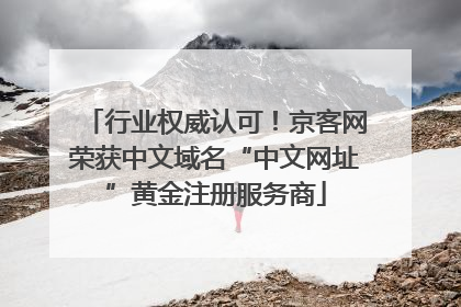 行业权威认可！京客网荣获中文域名“中文网址”黄金注册服务商