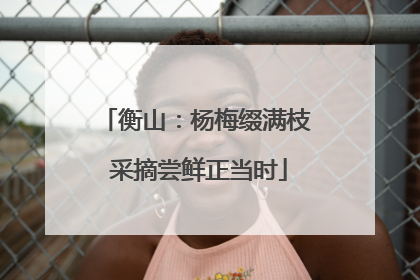 衡山：杨梅缀满枝 采摘尝鲜正当时