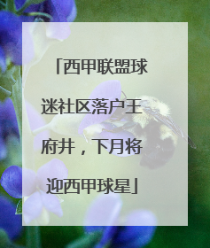 西甲联盟球迷社区落户王府井，下月将迎西甲球星