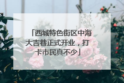 西城特色街区中海大吉巷正式开业，打卡市民真不少