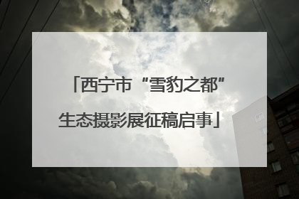 西宁市“雪豹之都”生态摄影展征稿启事