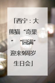 西宁：大熊猫“奇果”“园满”迎来9周岁生日会