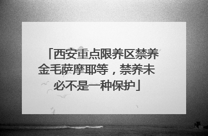 西安重点限养区禁养金毛萨摩耶等，禁养未必不是一种保护