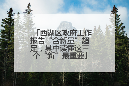 西湖区政府工作报告“含新量”超足，其中读懂这三个“新”最重要
