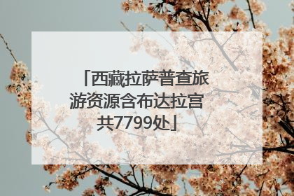 西藏拉萨普查旅游资源含布达拉宫共7799处