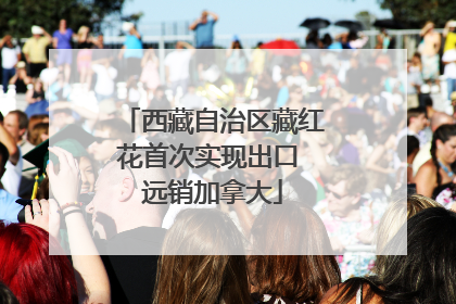 西藏自治区藏红花首次实现出口 远销加拿大