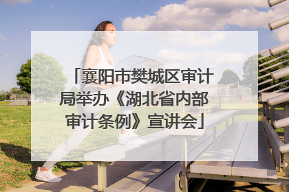 襄阳市樊城区审计局举办《湖北省内部审计条例》宣讲会
