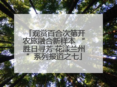 观赏百合次第开 农旅融合新样本 “胜日寻芳·花漾兰州”系列报道之七
