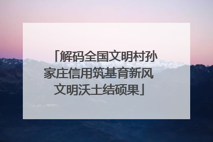解码全国文明村孙家庄信用筑基育新风文明沃土结硕果