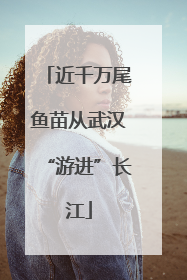 近千万尾鱼苗从武汉“游进”长江