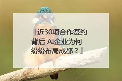 近30项合作签约背后 AI企业为何纷纷布局成都？
