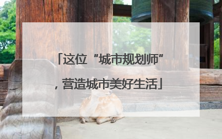 这位“城市规划师”，营造城市美好生活