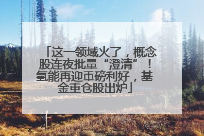 这一领域火了，概念股连夜批量“澄清”！氢能再迎重磅利好，基金重仓股出炉
