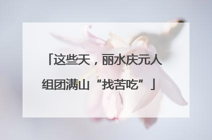 这些天，丽水庆元人组团满山“找苦吃”