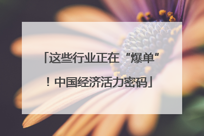 这些行业正在“爆单”！中国经济活力密码