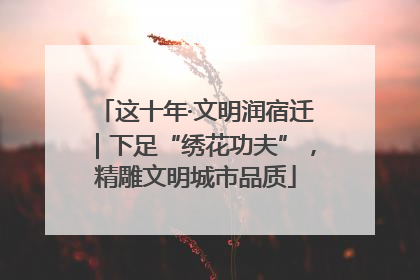 这十年·文明润宿迁｜下足“绣花功夫”，精雕文明城市品质
