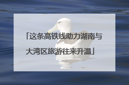 这条高铁线助力湖南与大湾区旅游往来升温