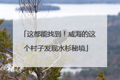 这都能找到！威海的这个村子发现水杉秘境
