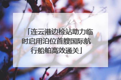 连云港边检站助力临时启用泊位首艘国际航行船舶高效通关