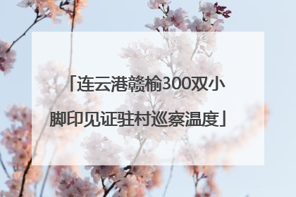 连云港赣榆300双小脚印见证驻村巡察温度