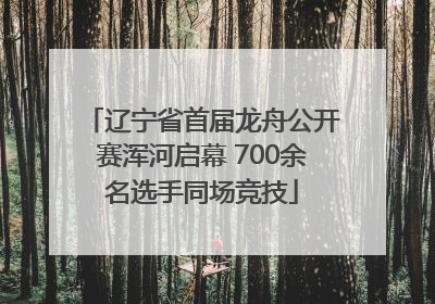 辽宁省首届龙舟公开赛浑河启幕 700余名选手同场竞技