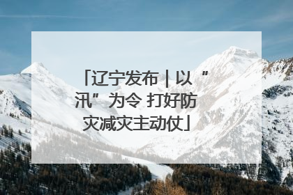 辽宁发布｜以“汛”为令 打好防灾减灾主动仗